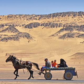 Bawiti - A horse and cart